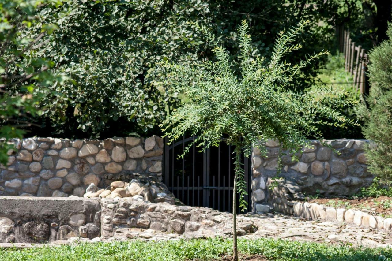 Guesthouse Silvani Kruševac Kültér fotó