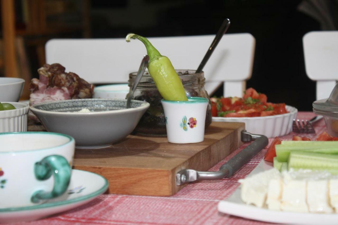 Guesthouse Silvani Kruševac Kültér fotó